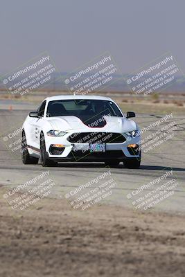 media/Nov-01-2025-PCA Central Coast (Sat) [[5e27ded23e]]/White Group/Grapevine/